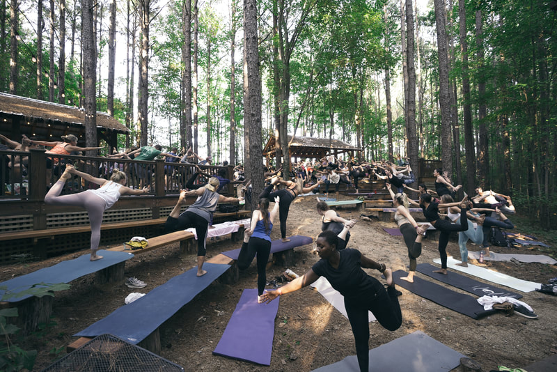 Outdoor Yoga. Yoga, Flow. Practice. Trees. Flow Fest. 